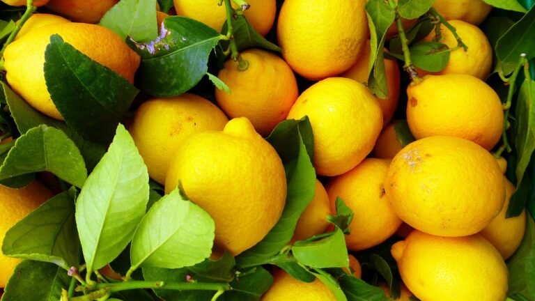 7 Evidence-Based Health Benefits of Lemons